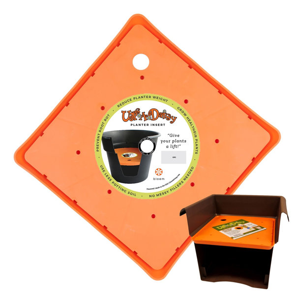 Bloem Ups A Daisy Square Planter Insert Liner & Reviews Wayfair